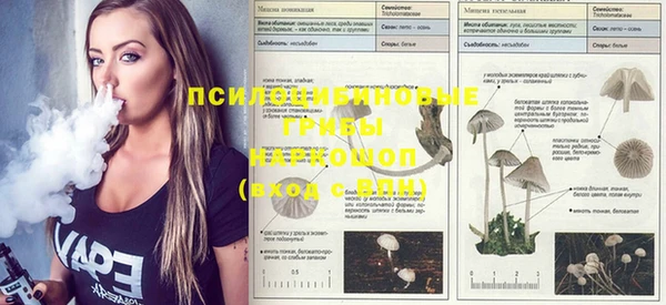 метадон Наволоки