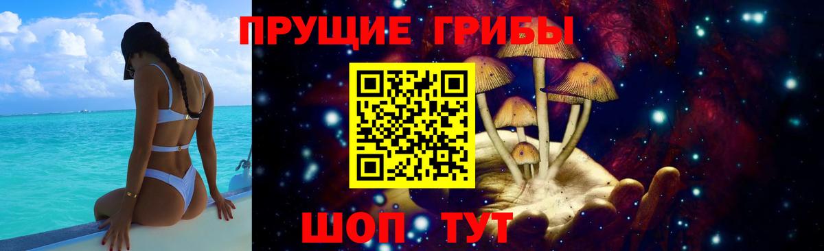 Псилоцибиновые грибы Psilocybe  Вход с VPN  Иваново 