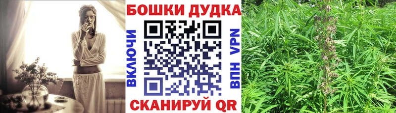 Конопля Bruce Banner купить цена Иваново